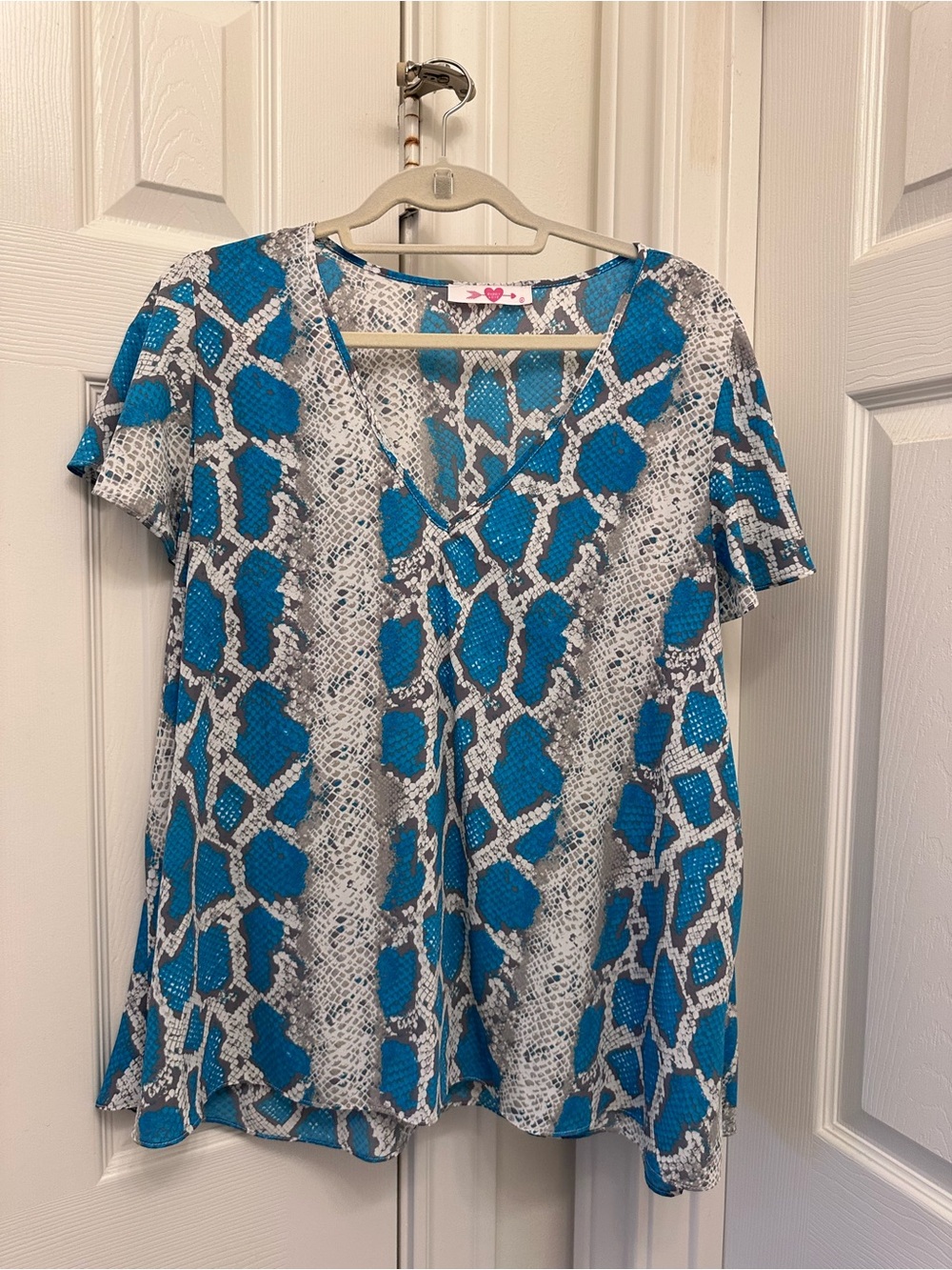 Buddy Love Teal and Gray Snake-Print V-Neck Top